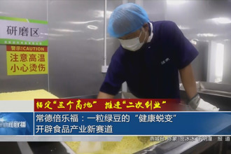 常德倍樂福：一粒綠豆的“健康蛻變”，開辟食品產業(yè)新賽道