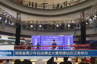 湖南省青少年自由搏擊大賽常德站在漢壽舉辦