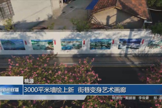 桃源：3000平米墻繪上新 街巷變身藝術畫廊