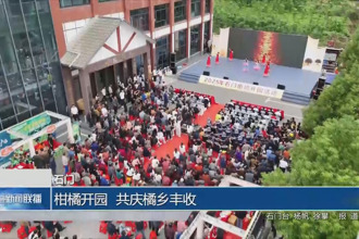 石門：柑橘開園 共慶橘鄉(xiāng)豐收