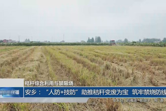 安鄉(xiāng)：“人防+技防”助推秸稈變廢為寶，筑牢禁燒防線
