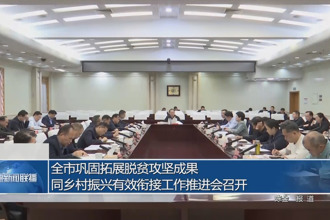 全市鞏固拓展脫貧攻堅成果同鄉(xiāng)村振興有效銜接工作推進(jìn)會召開